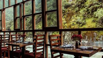 Un restaurante con grandes ventanales que ofrecen vistas a un área boscosa. Las mesas están dispuestas con sillas y tienen jarrones con flores.