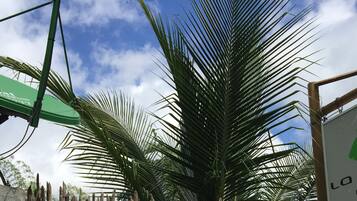 A sign for La Naturaleza Resort with a palm tree in the foreground.