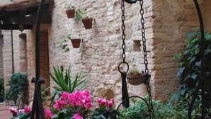 A courtyard with a hanging planter, potted plants, and a brick wall. - Residenza d'Epoca Palazzo Buonaccorsi (San Gimignano)