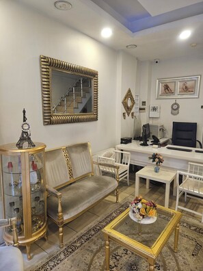 Reception - Lemon Residence (Istanbul)