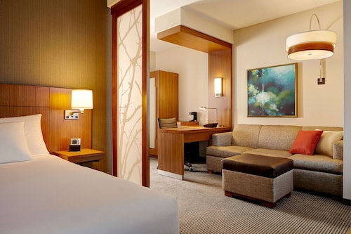Hyatt Place Detroit/Novi