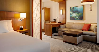 Hyatt Place Detroit/Novi