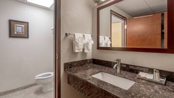 A bathroom with a marble sink, a mirror, and a toilet.