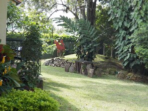Vista desde la habitación