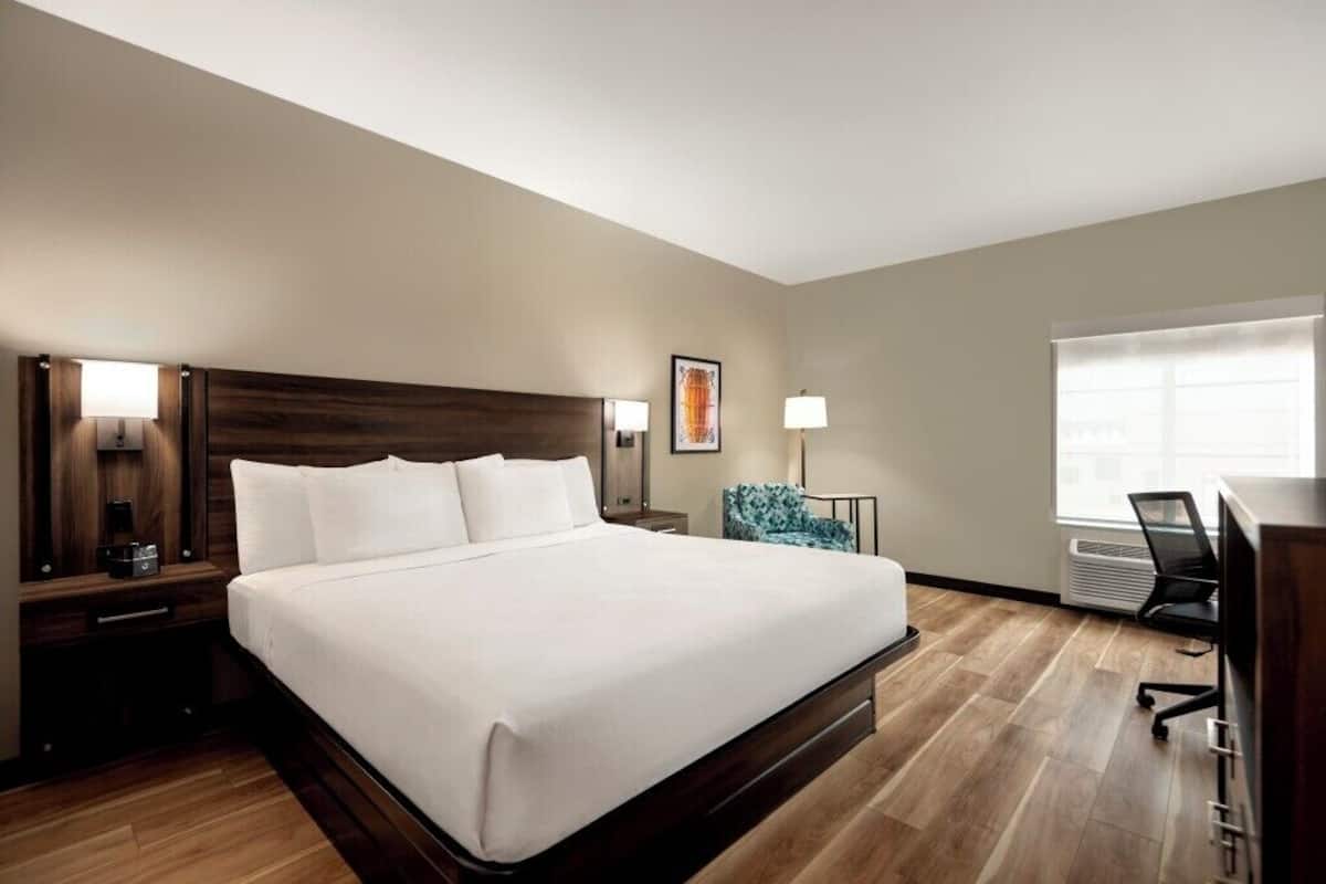 Room, 1 King Bed, Non Smoking