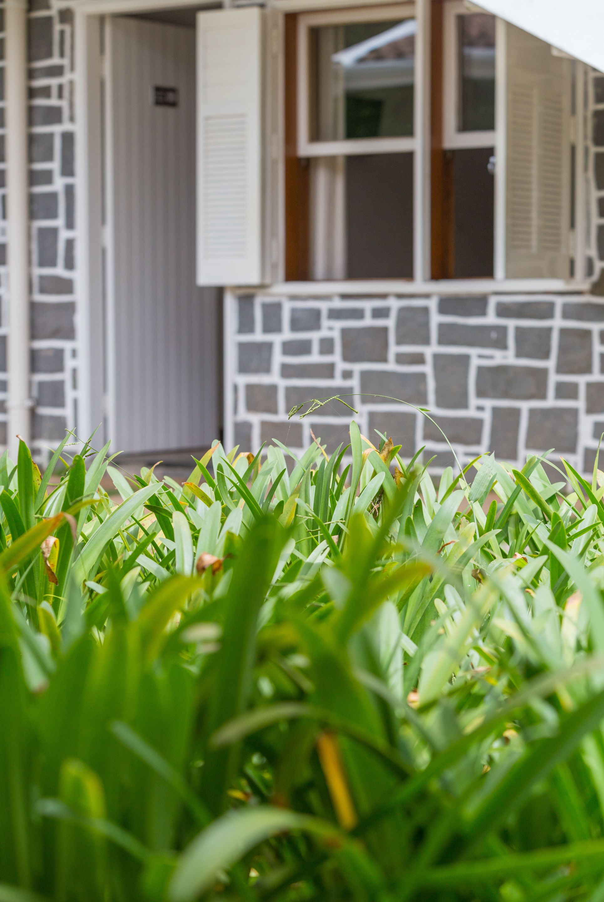 Foto - Pousada Morro do Elefante