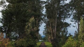 Luxury Suite | Down duvets, individually decorated, individually furnished, desk