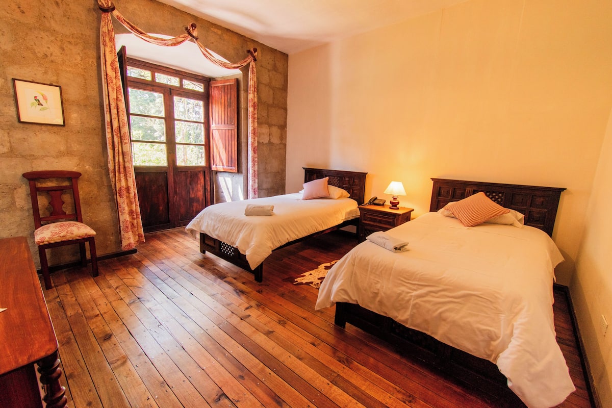 Habitación estándar con 1 cama doble o 2 individuales | 1 dormitorio, edredones de plumas, decoración individual