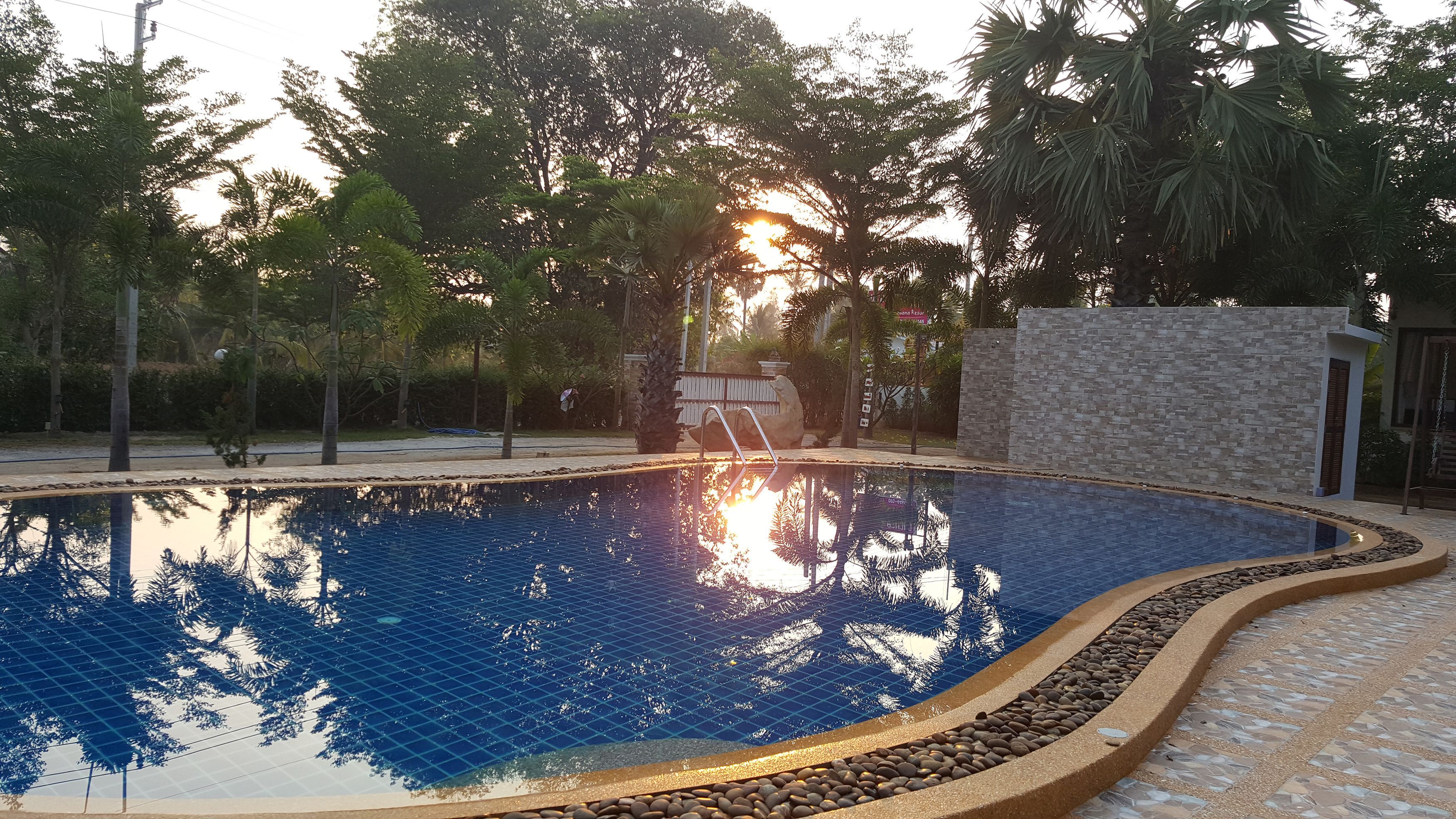 A swimming pool with a tiled edge, surrounded by a stone wall and palm trees.
