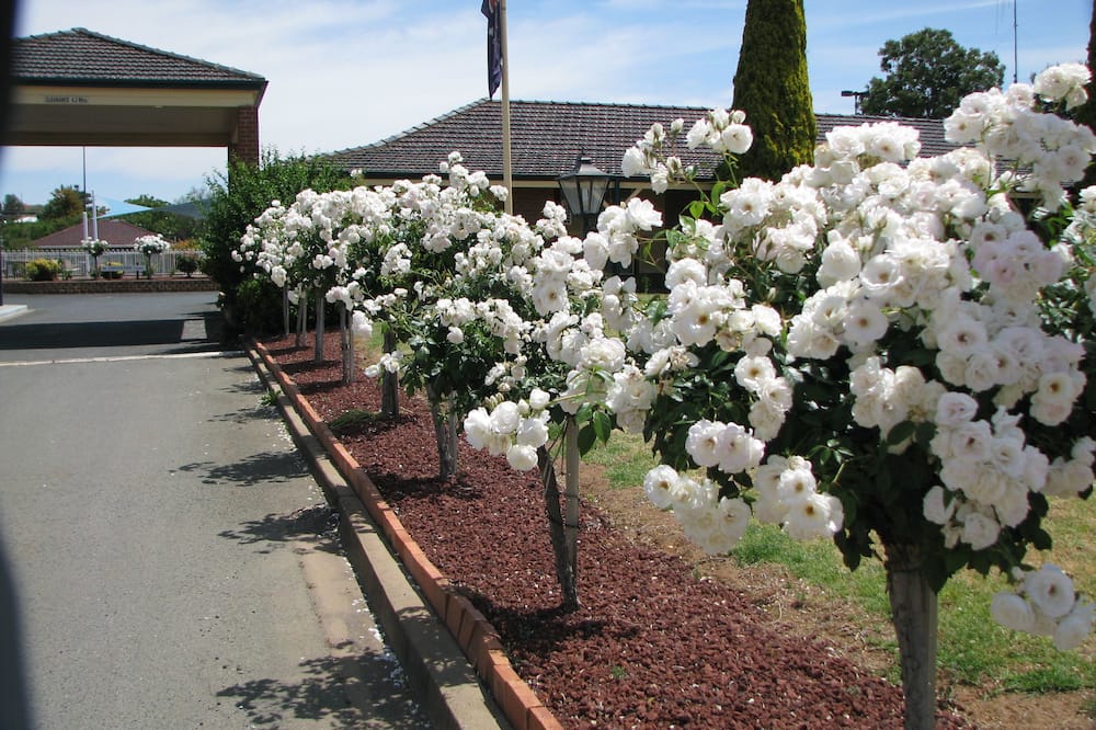 Bushmans Motor Inn