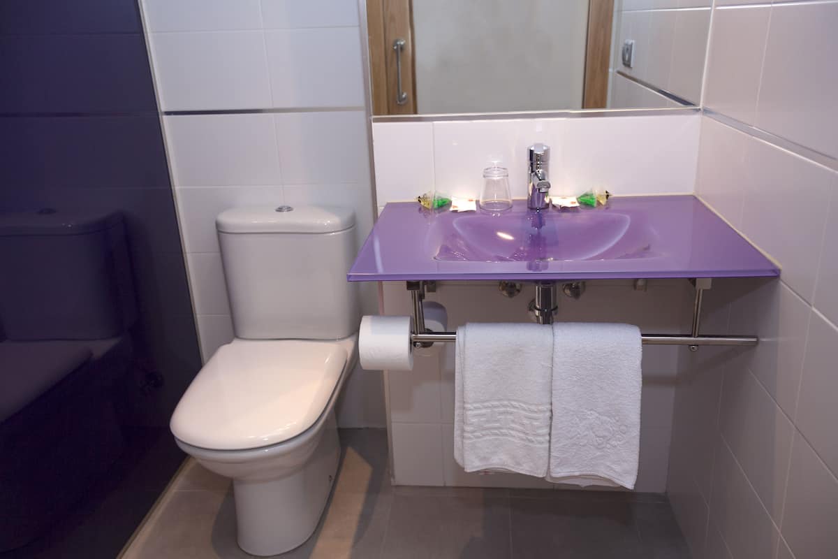 triple room | bathroom | shower, hair dryer, towels