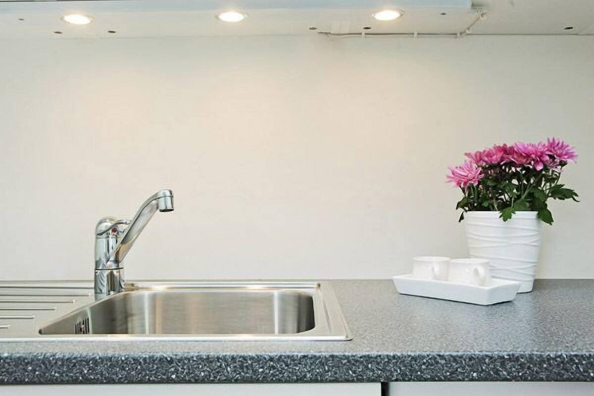 A modern kitchen with a stainless steel sink, a granite countertop, and a potted plant with pink flowers.