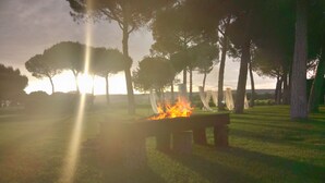 Un banc avec un feu de camp dans un parc, entouré d’arbres, avec un coucher de soleil en arrière-plan.