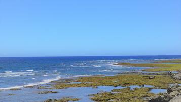 Vista desde la propiedad