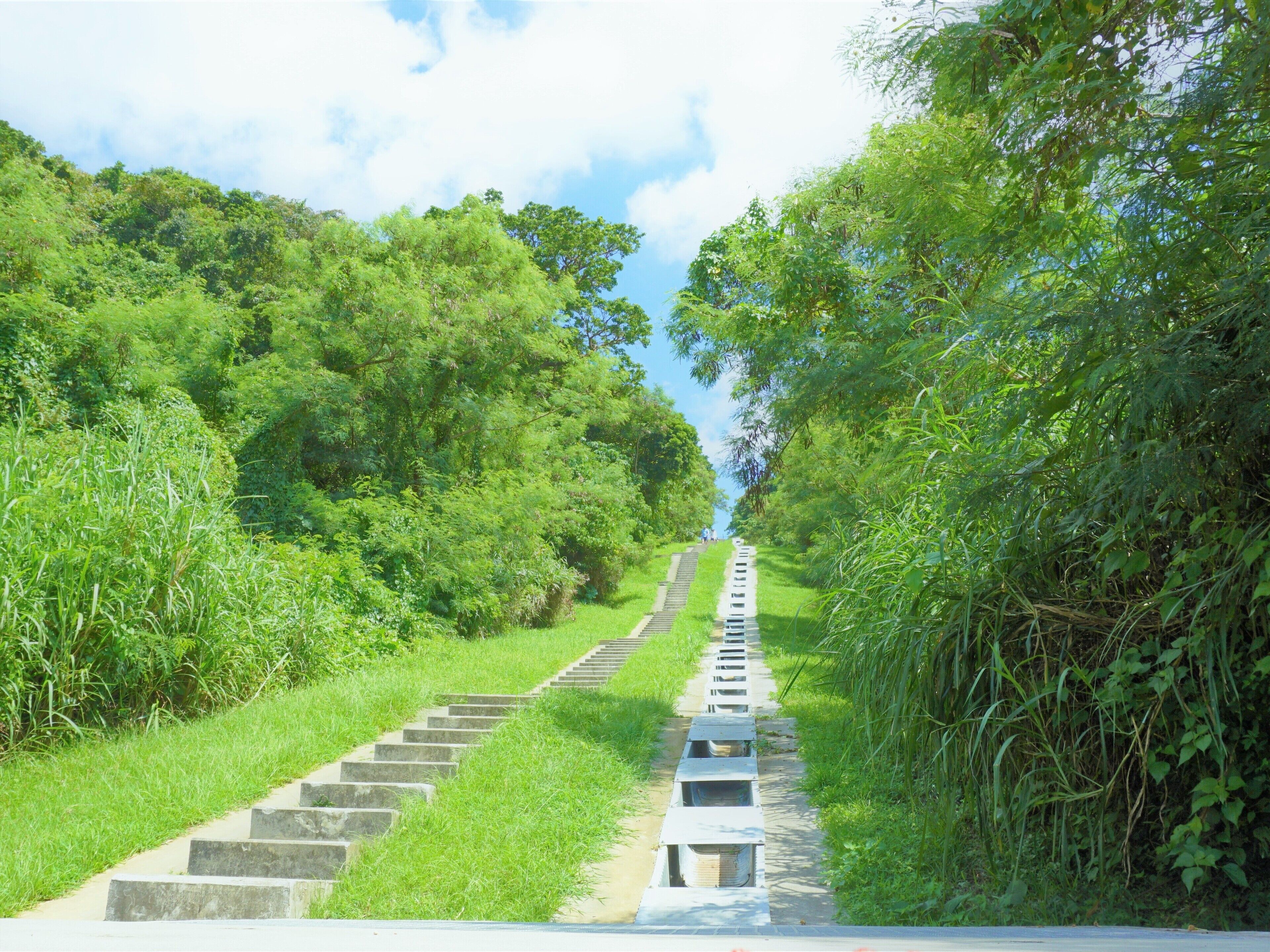 Un escalier en pierre menant au sommet d’une colline, entouré d’une végétation luxuriante et d’arbres.