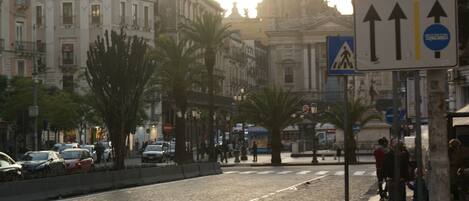 Una calle adoquinada flanqueada por palmeras y edificios históricos.