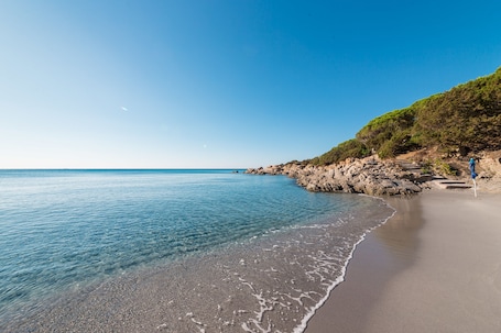 Playa privada en los alrededores, traslado desde/hacia la playa gratis