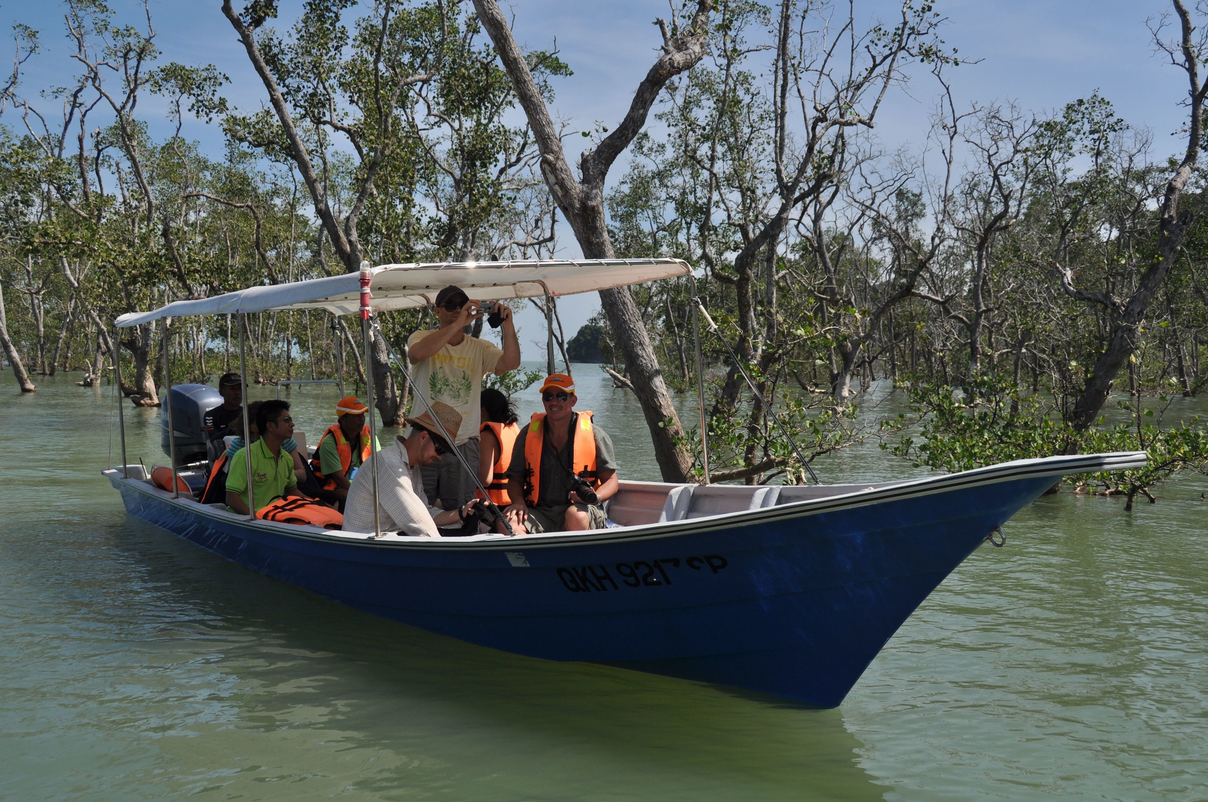 Ein Boot mit mehreren Personen, die Rettungswesten tragen, fährt durch ein Mangrovengebiet.