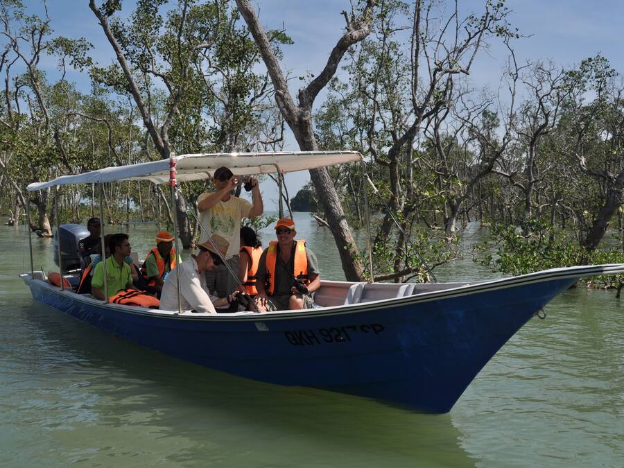 Ein Boot mit mehreren Personen, die Rettungswesten tragen, fährt durch ein Mangrovengebiet.
