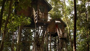 Una casa en los árboles con varios niveles, escaleras de madera y una puerta roja.