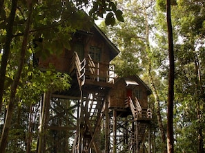 Tree House | Desk, bed sheets - Permai Rainforest Resort (Kuching)
