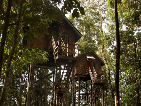 Tree House