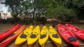 Une rangée de kayaks est alignée sur un chemin de terre, avec une plage et des arbres en arrière-plan.