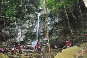 Una cascada rodeada de rocas y árboles.
