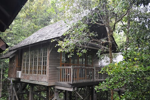 Tree House | Desk, bed sheets