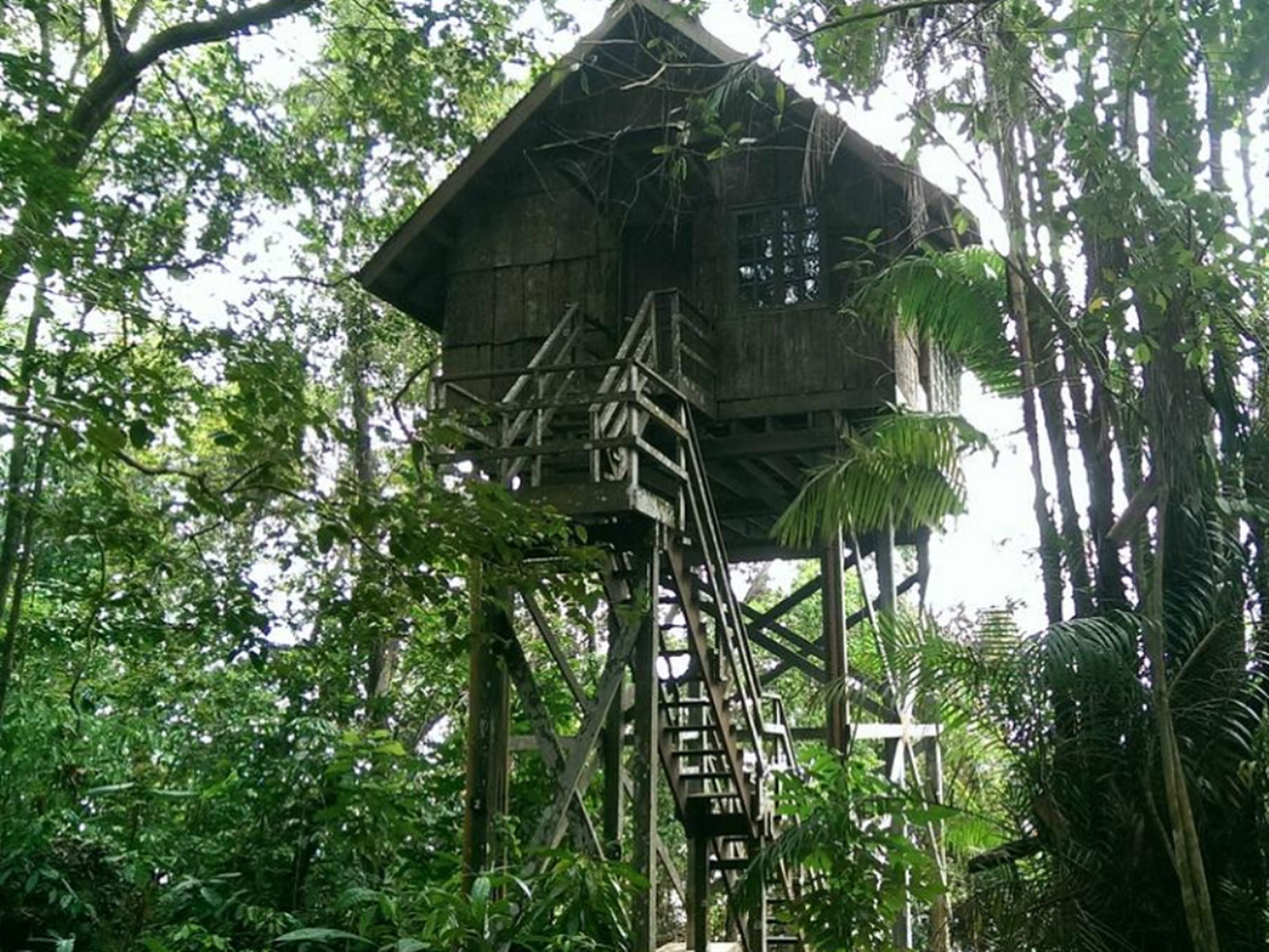 A wooden treehouse with a staircase leading up to it, surrounded by dense forest.