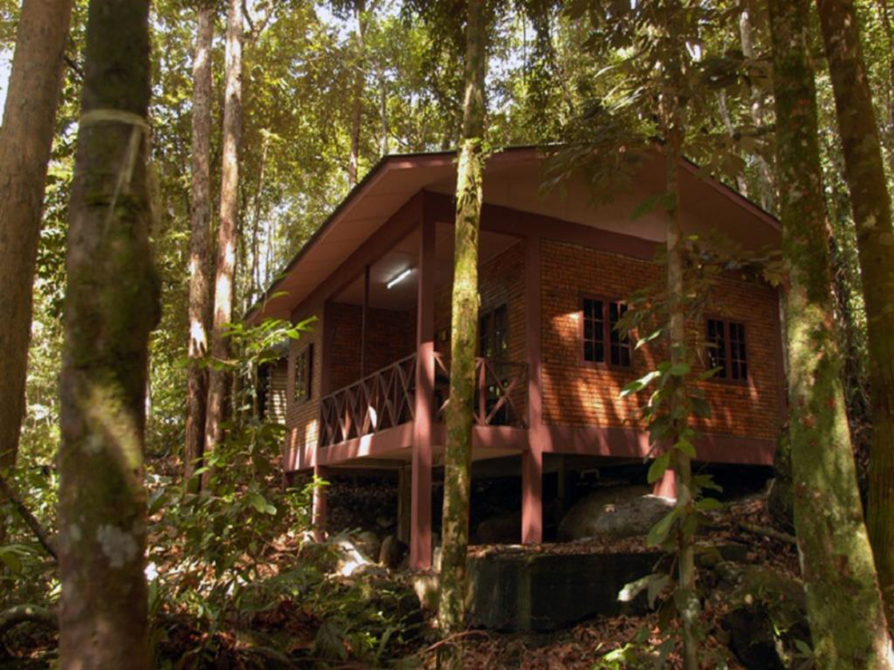 A wooden cabin with a balcony, surrounded by trees.