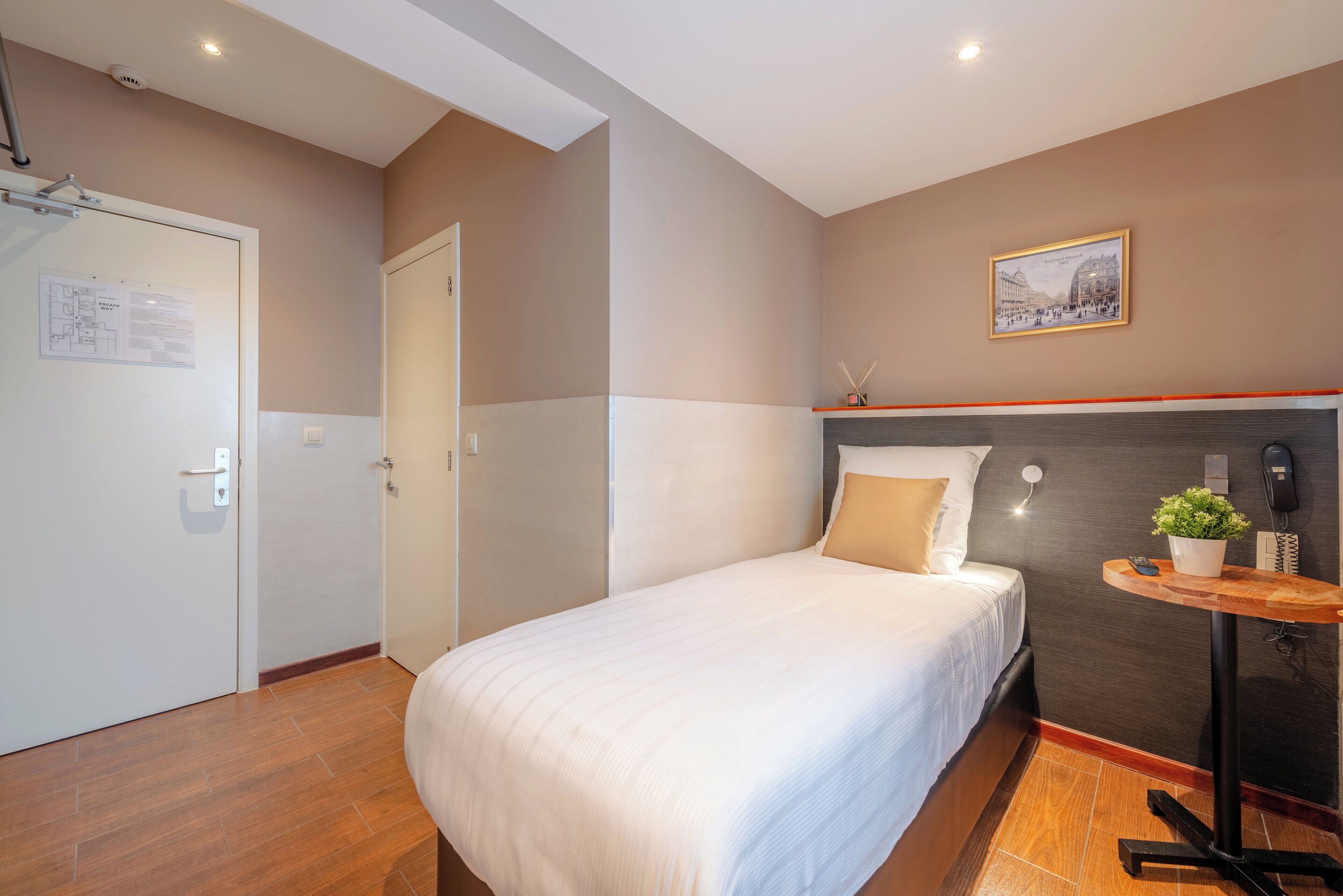 A hotel room with a bed, a small table with a plant, a wall-mounted phone, and a framed picture.