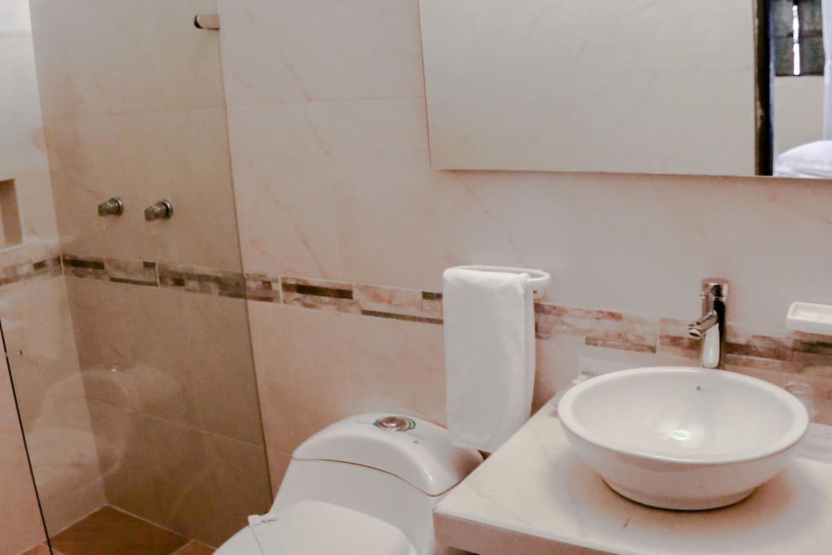 shower, free toiletries, hair dryer, towels