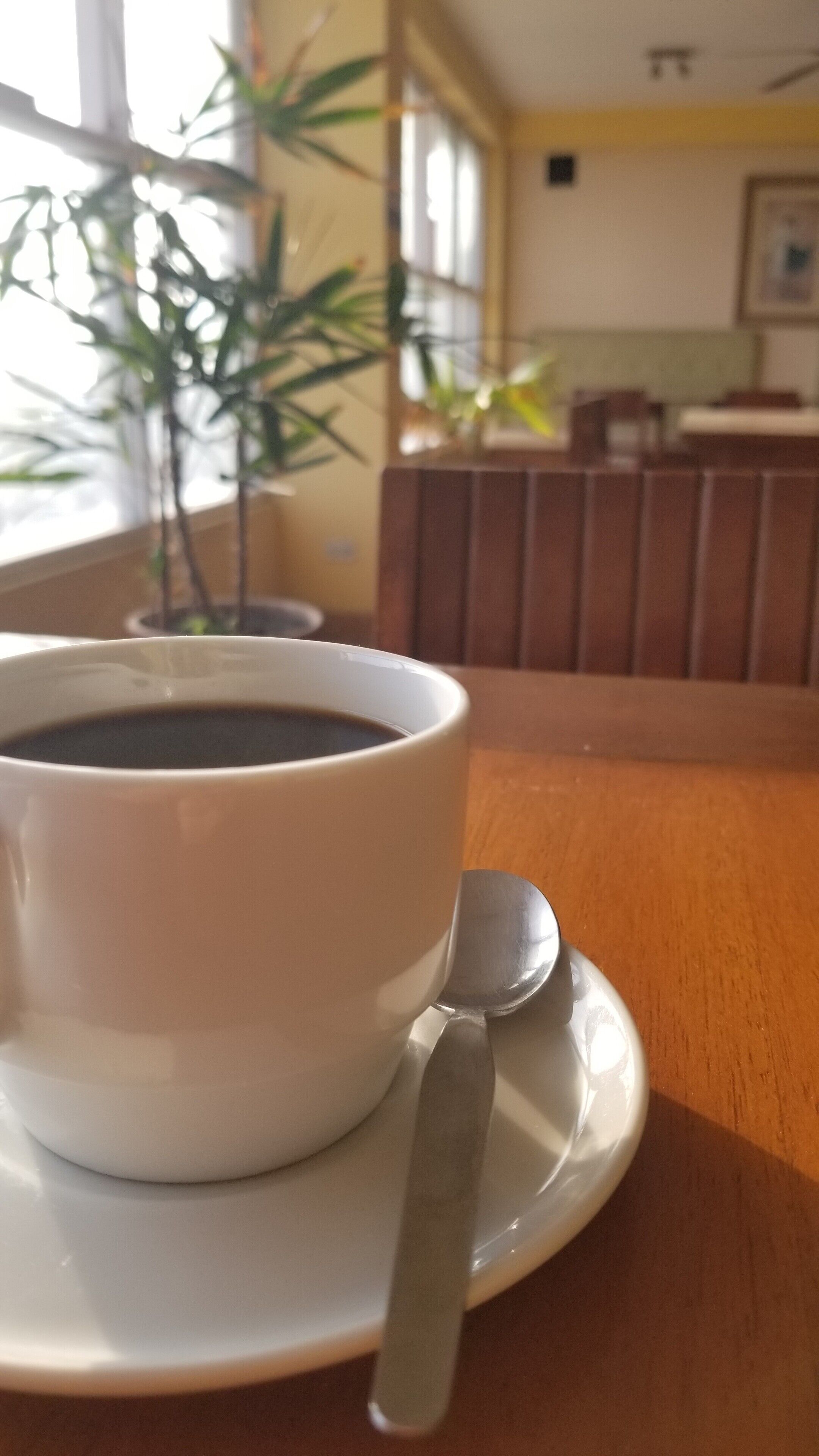 breakfast, lunch and dinner served