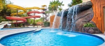 Golden Dolphin Express OFICIAL