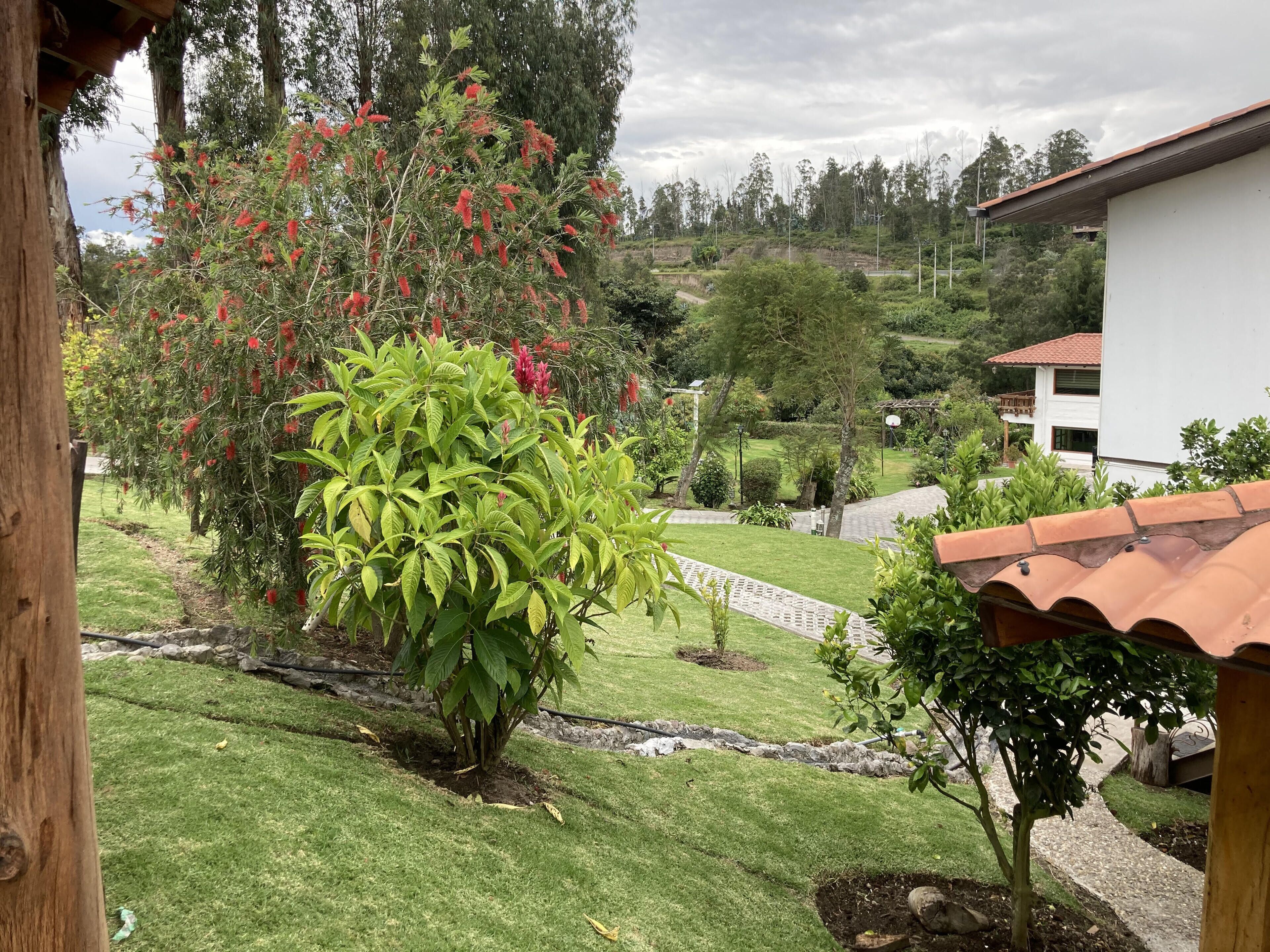 A well-maintained garden with a variety of plants and trees, a paved pathway, and a white building with a red roof.
