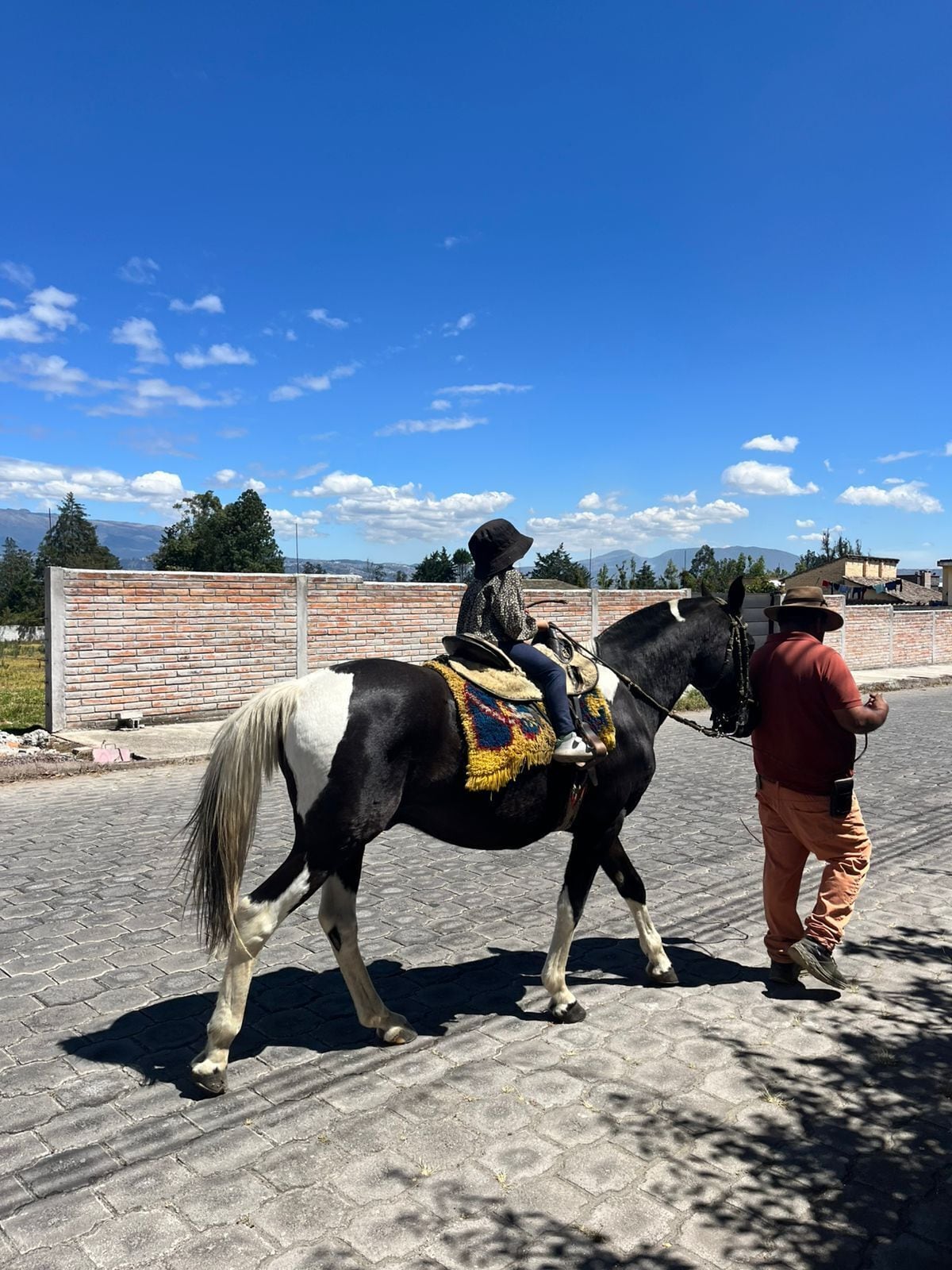 Une personne à cheval, avec une selle et une couverture, qui se promène sur un chemin pavé.