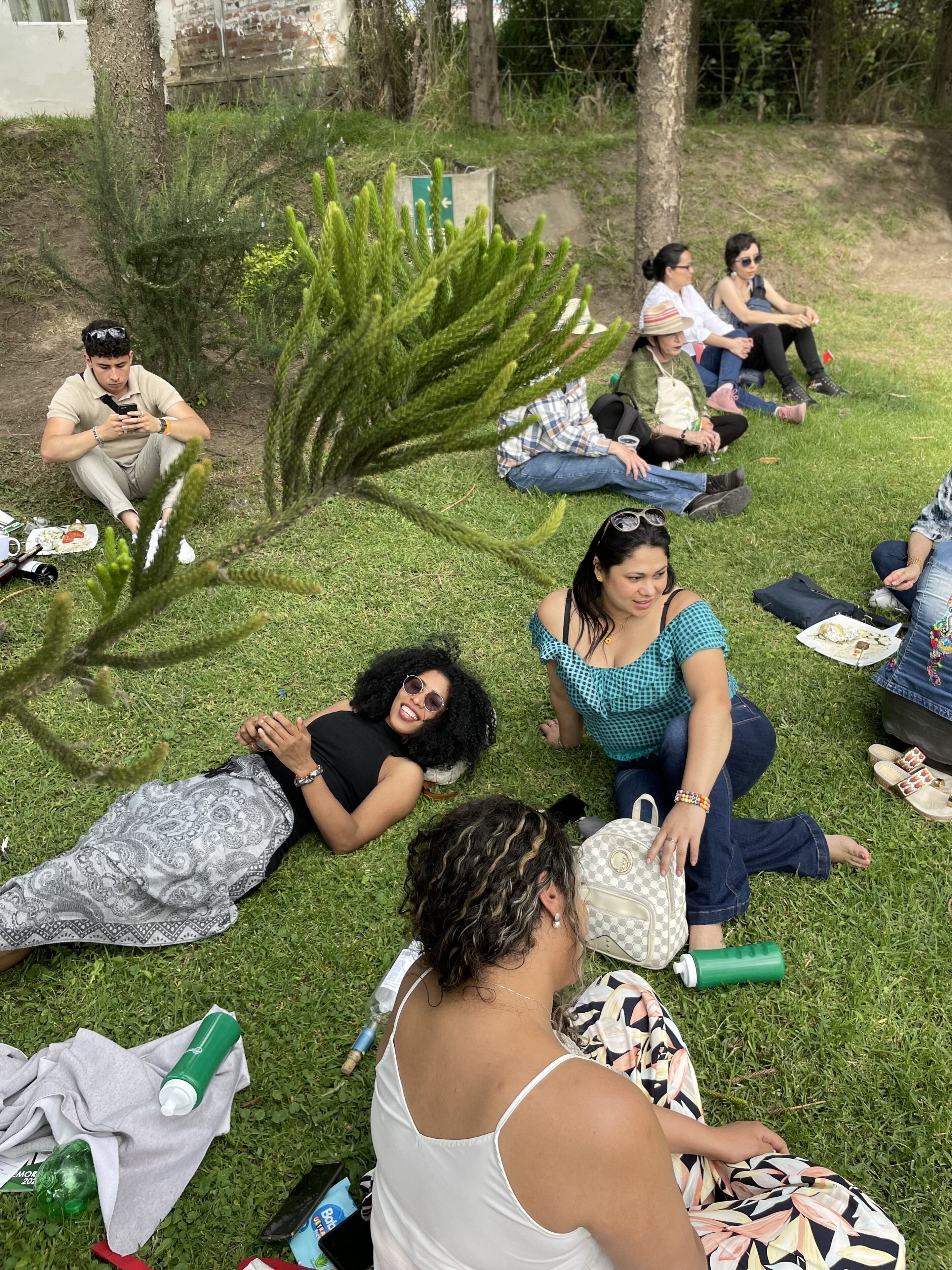 Um grupo de pessoas sentadas na grama em ambiente externo, com árvores e um muro de tijolos ao fundo.