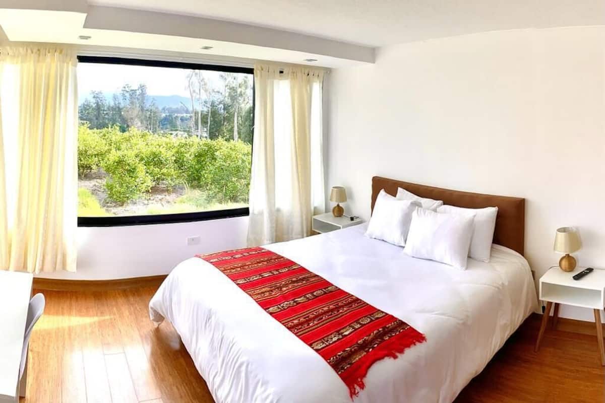 Une chambre d’hôtel avec un grand lit, un bureau et une fenêtre avec des rideaux.