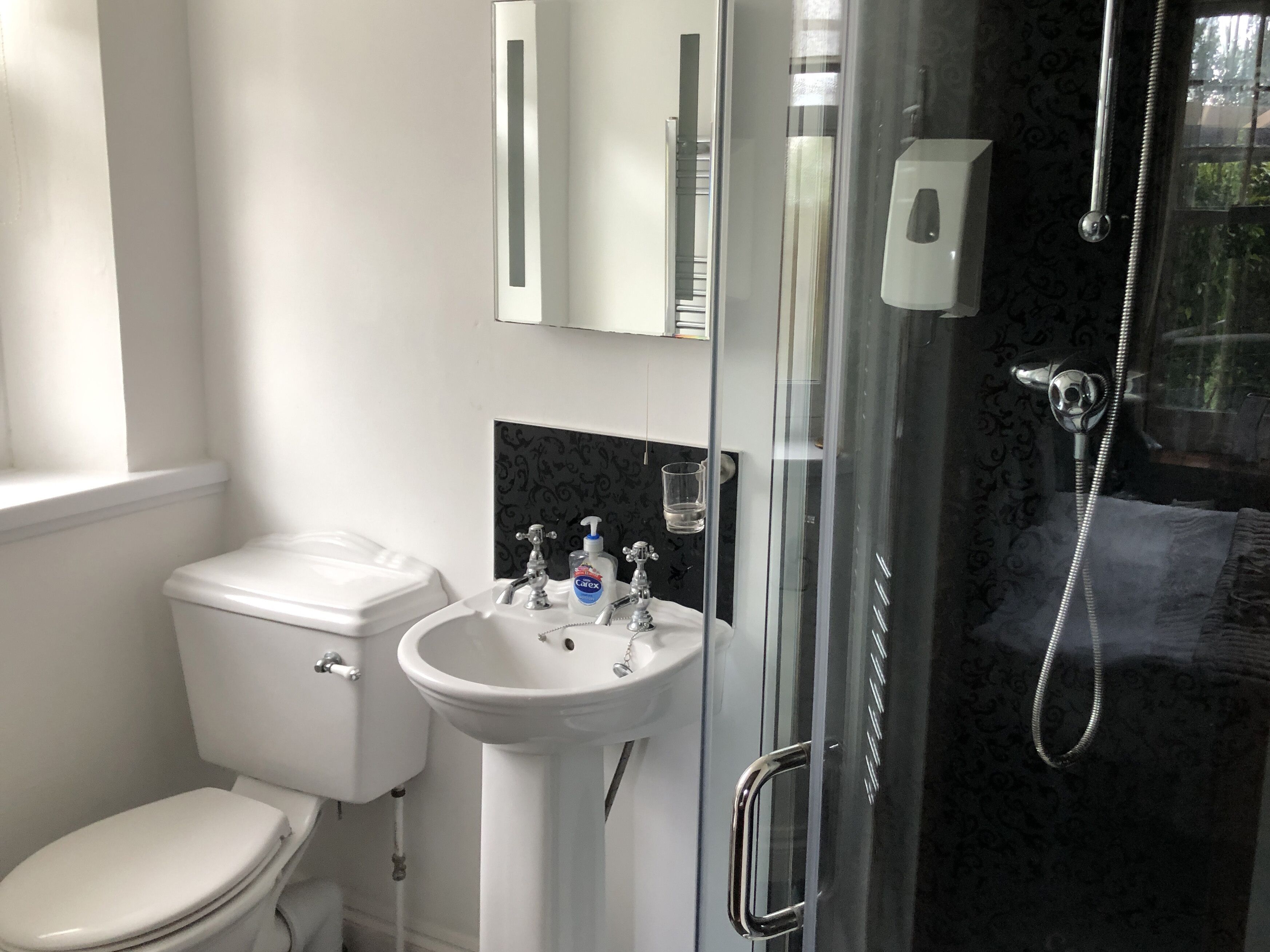 A bathroom with a toilet, a sink, a glass shower enclosure, and a mirror.