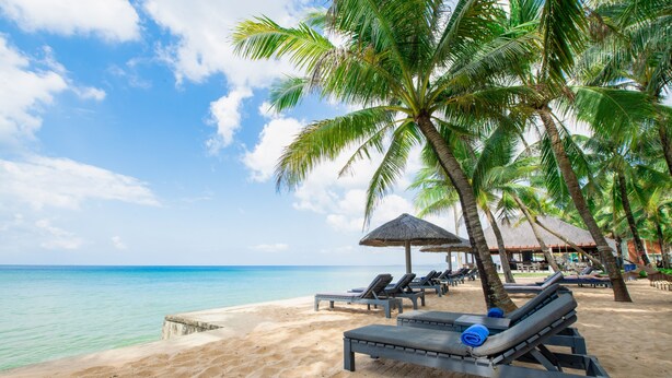 A beach with lounge chairs and palm trees.