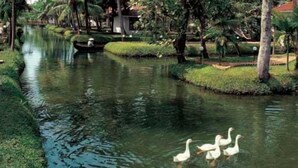 A serene water body with swans, surrounded by lush greenery and a traditional building with a red roof. - Club Mahindra Kumarakom (Kottayam)