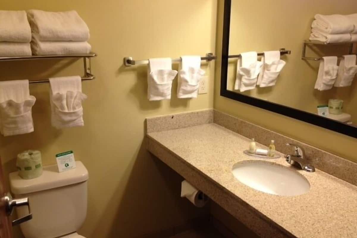 free toiletries, hair dryer, towels