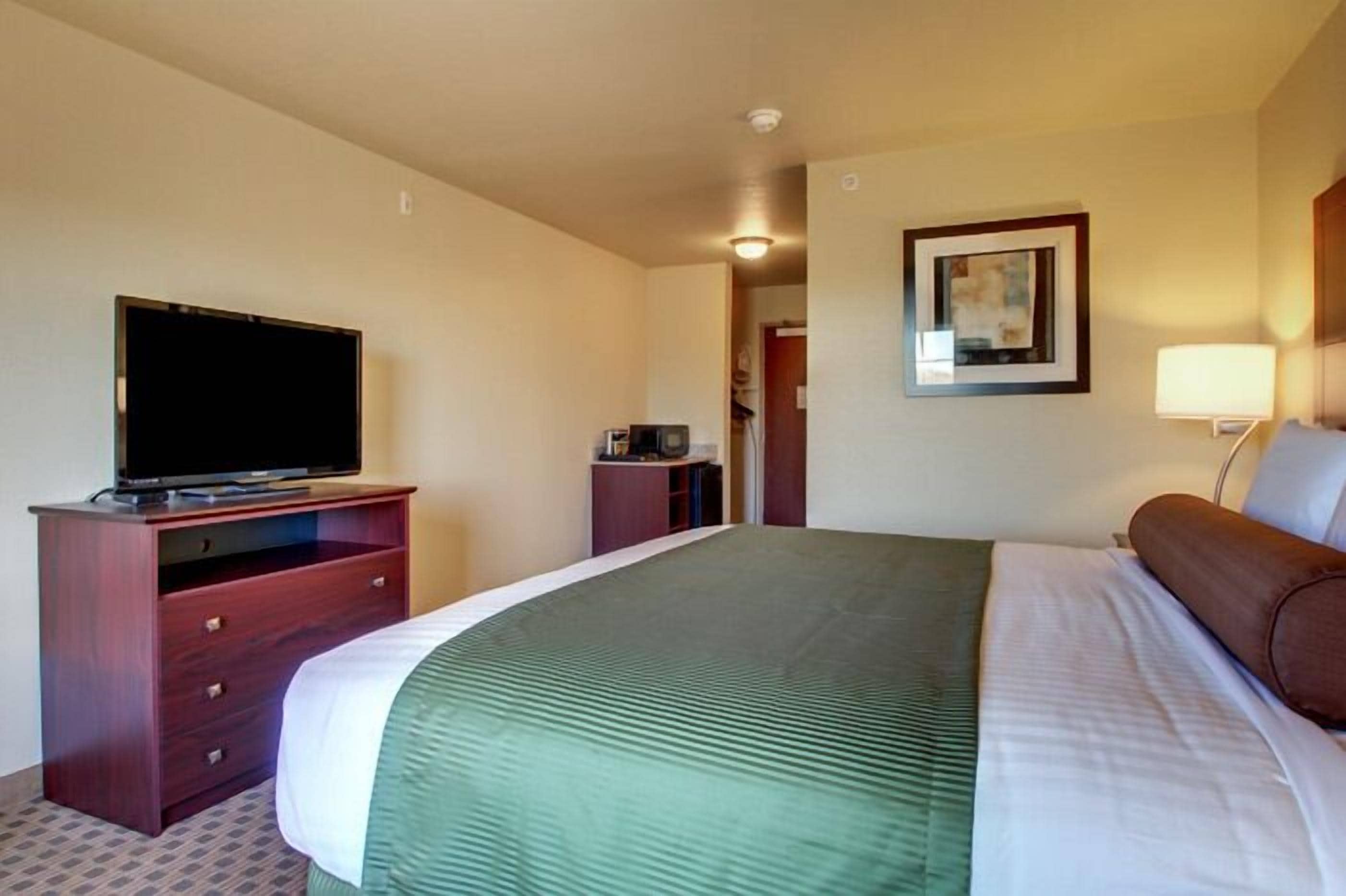 Una habitación de hotel con una cama, un televisor sobre una cómoda de madera, un cuadro en la pared y una lámpara de noche.