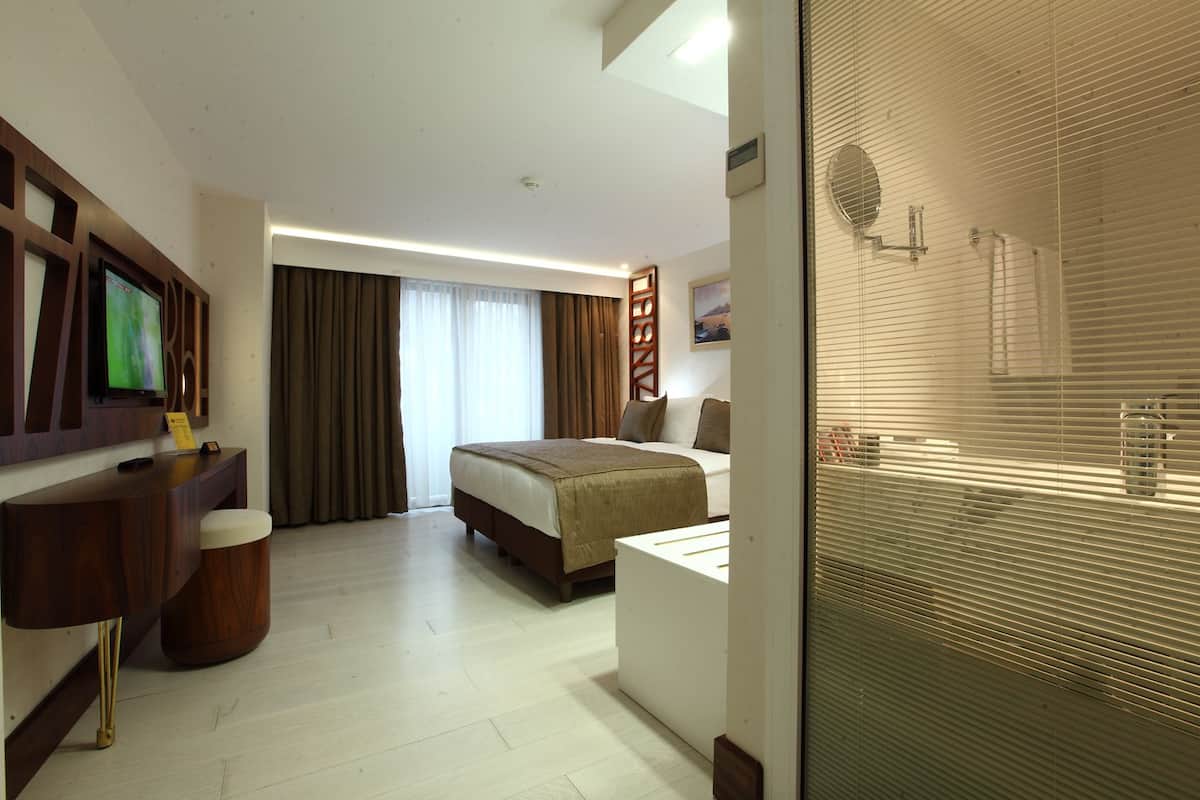 Une chambre d’hôtel comprenant un lit, un bureau avec une télévision, une salle de bain avec une paroi en verre et une grande fenêtre avec des rideaux.