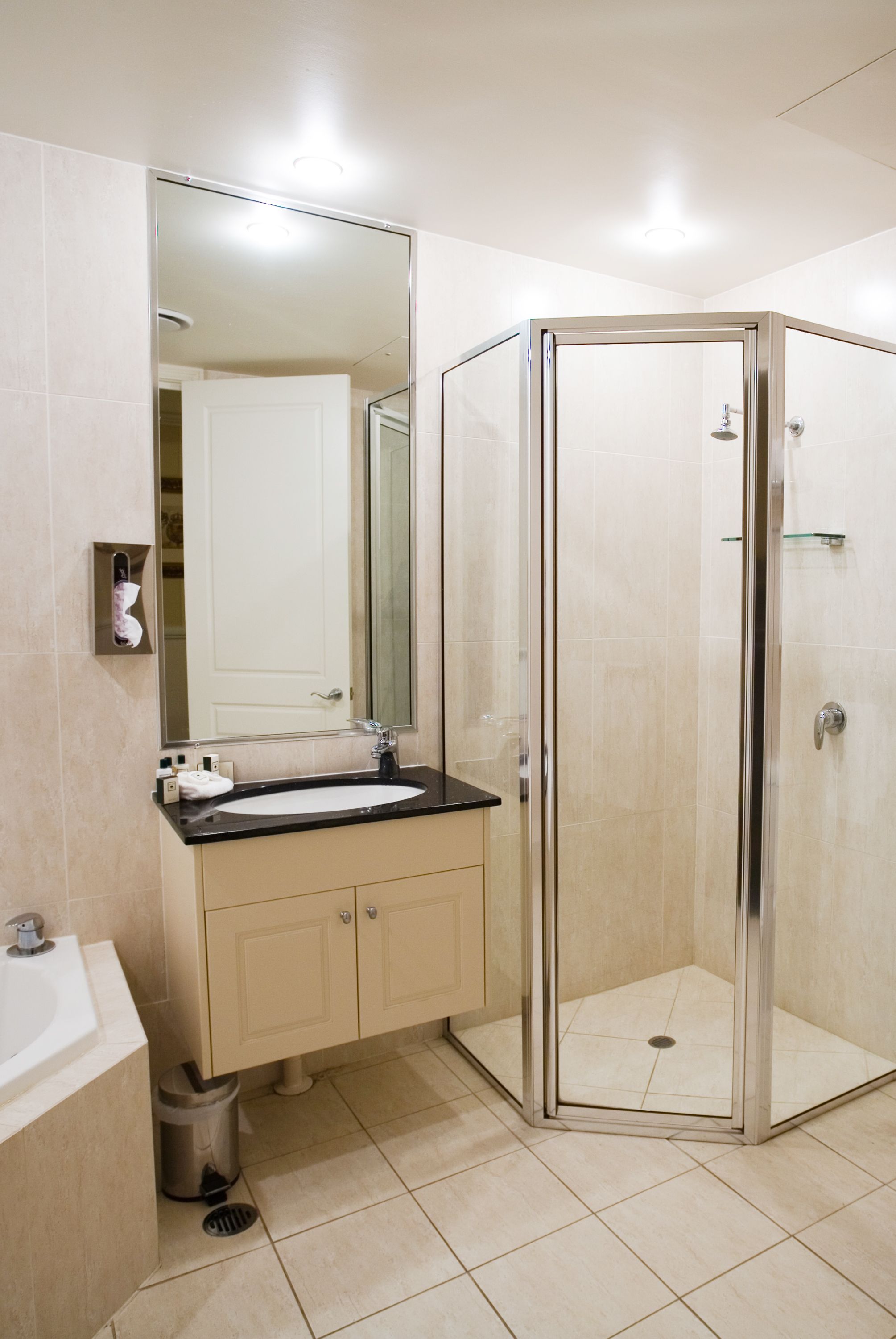 shower, free toiletries, hair dryer, towels