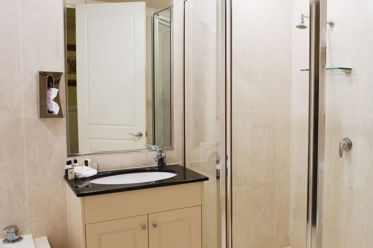 shower, free toiletries, hair dryer, towels