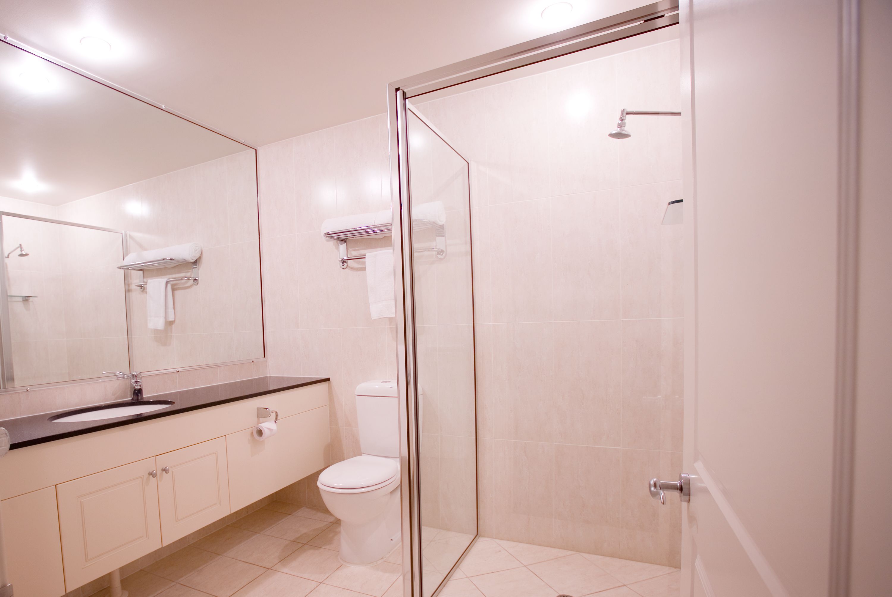 shower, free toiletries, hair dryer, towels