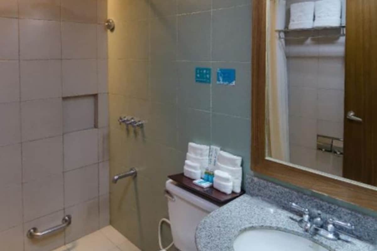 Ducha, artículos de tocador gratuitos, secador de pelo, bidet