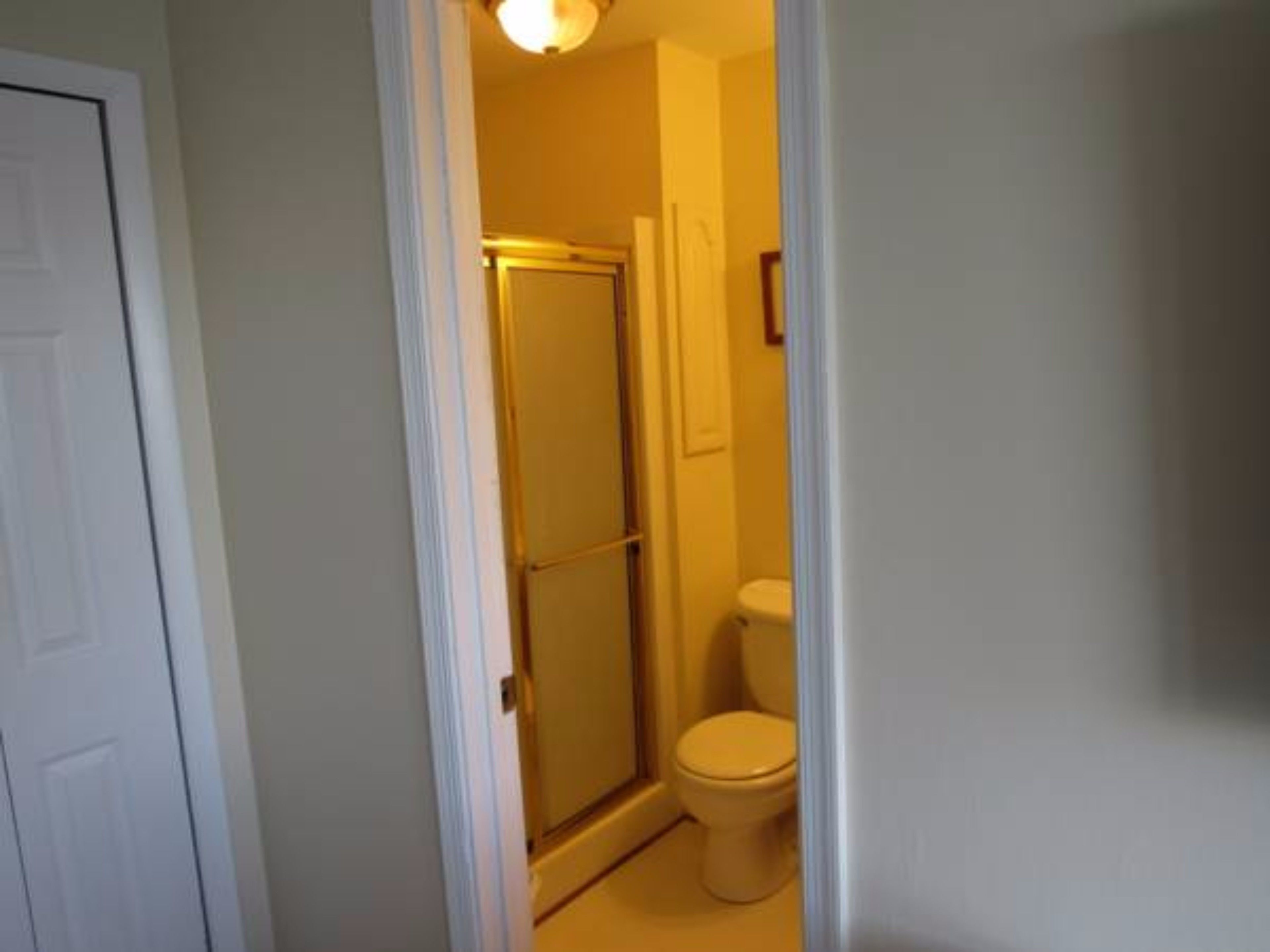 A narrow hallway leading to a bathroom with a toilet and a shower.